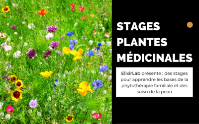 Stage plantes médicinales 5/6 juin 2021