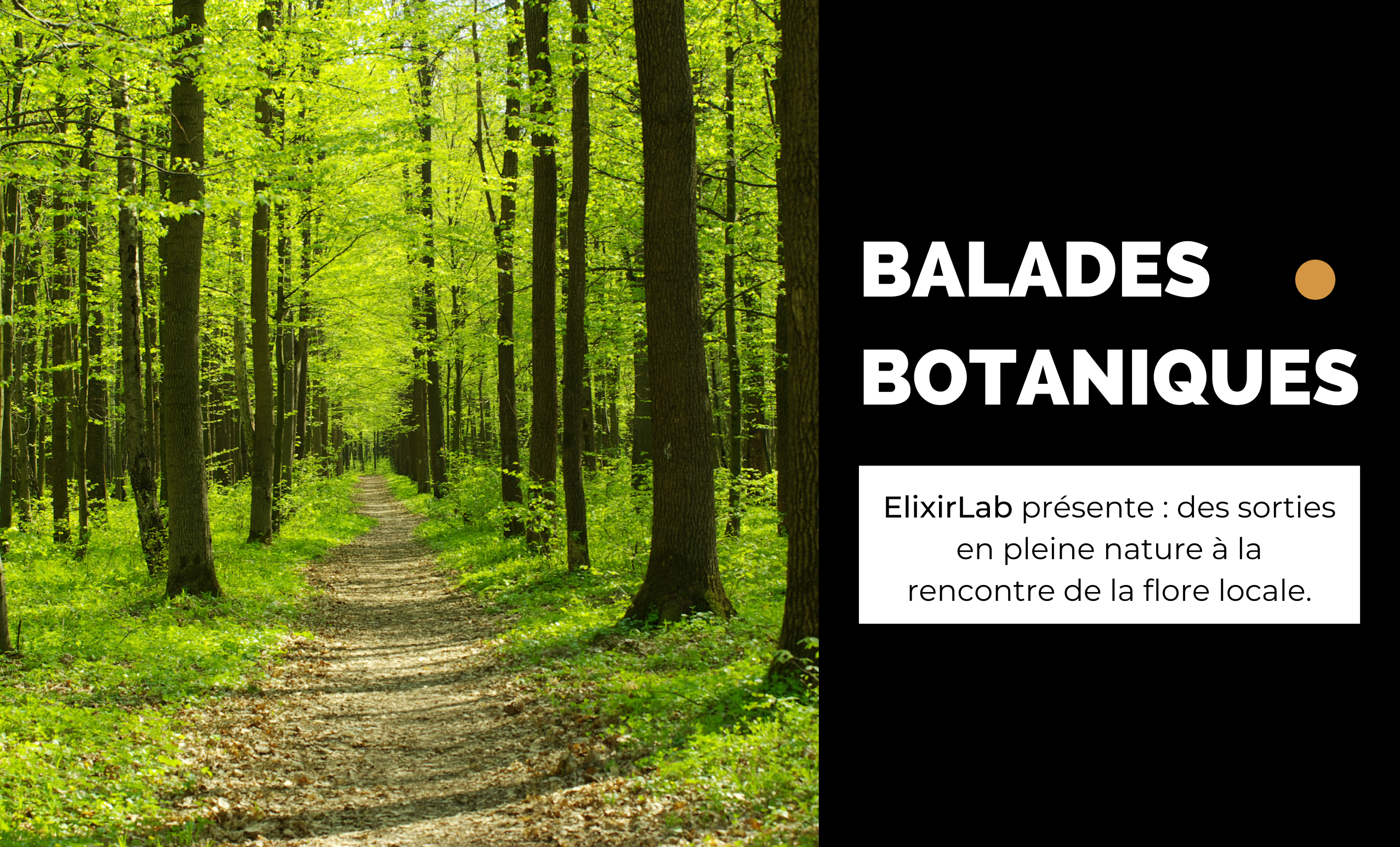 BALADES BOTANIQUES
