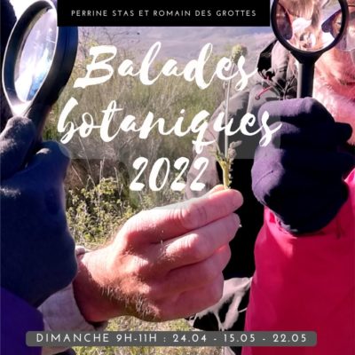 balade botanique de printemps 2022