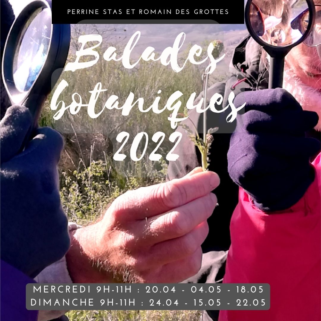 balades botaniques 2022