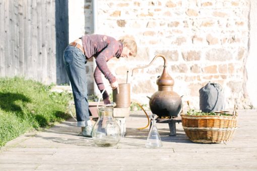 distillation de plantes pour hydrolat