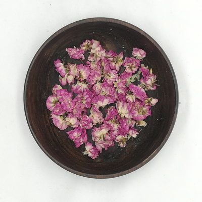 plantes sèches en vrac fleurs miniatures